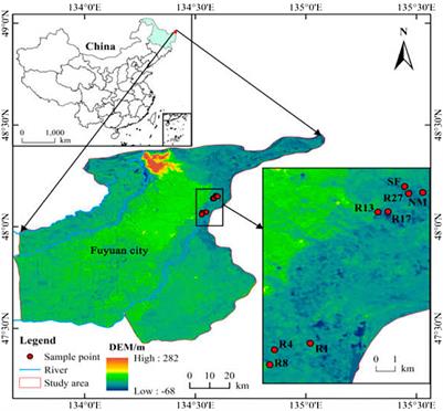 Responses of Soil Microbial Biomass and Enzyme Activities to Natural Restoration of Reclaimed Temperate Marshes After Abandonment